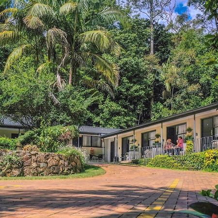 Tall Trees Motel Mountain Retreat Маунт-Тамборин Экстерьер фото