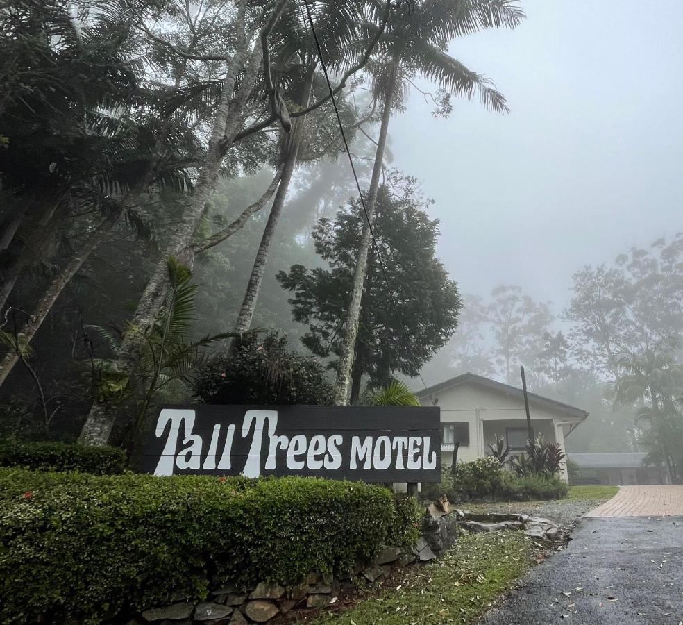 Tall Trees Motel Mountain Retreat Маунт-Тамборин Экстерьер фото
