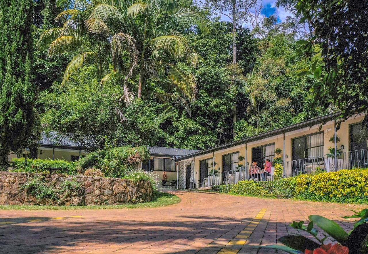 Tall Trees Motel Mountain Retreat Маунт-Тамборин Экстерьер фото